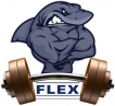 Фитнес клуб «Flex»