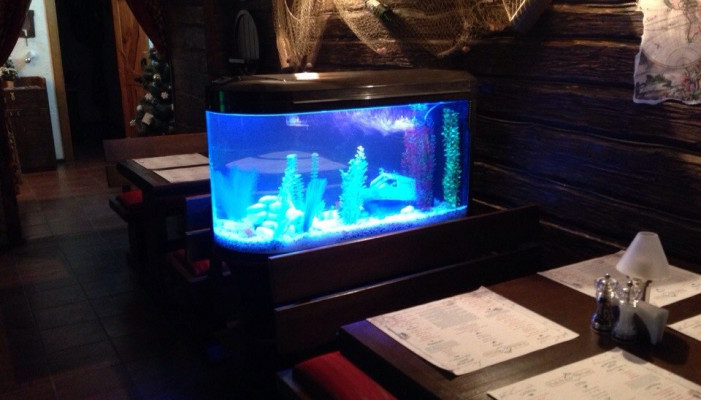 Fish & wine
