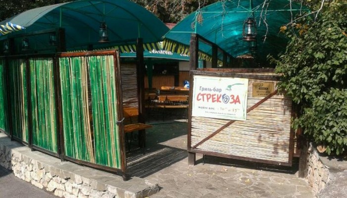 Стрекоза