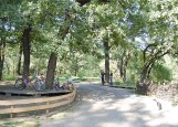 Усадьба Репино Волгоград